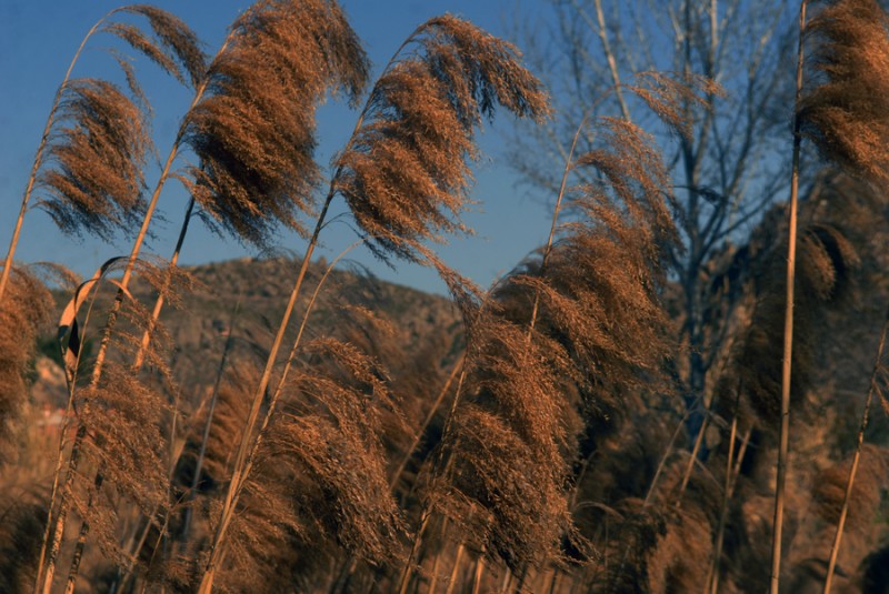 Hacia el viento..