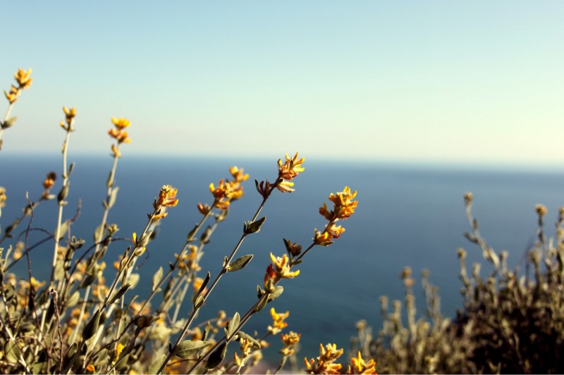 Vista al mar