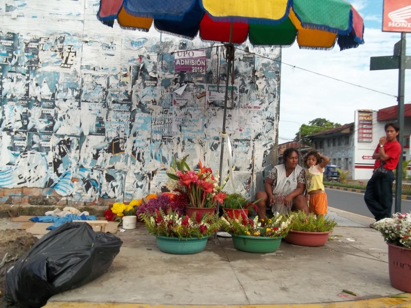 flores para vender