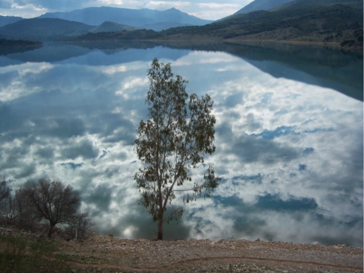 Reflejos