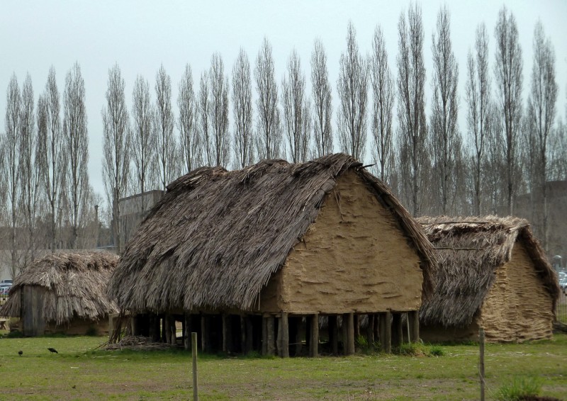 poblado neoltico
