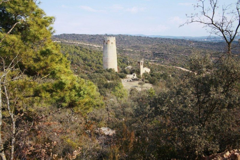 VALLFEROSA, LA TORRE DE LAMO. TOR. LA SEGARRA. LLEIDA. CATALUNYA