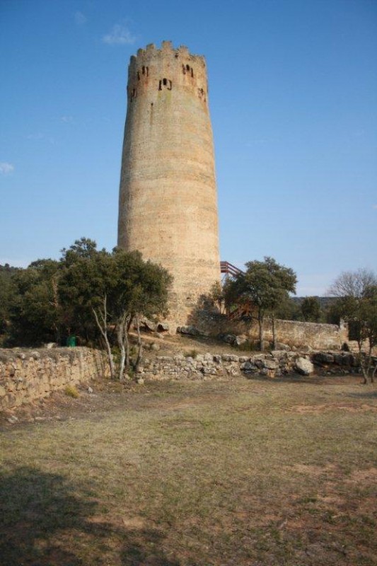 VALLFEROSA, LA TORRE DE LAMO. TOR. LA SEGARRA. LLEIDA. CATALUNYA