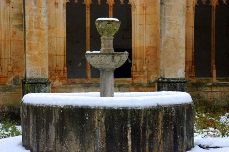 Fuente del claustro