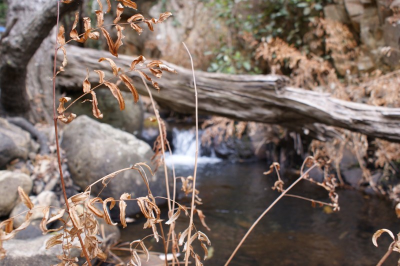 Sendero de la Miel