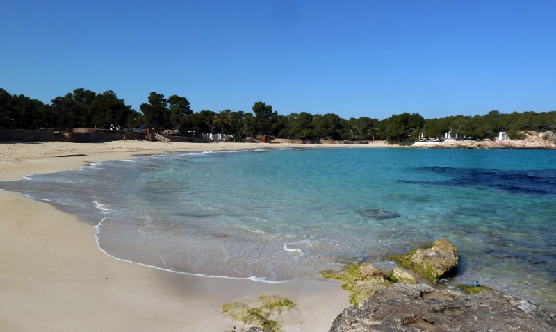 Cala Bassa Feb 12 01