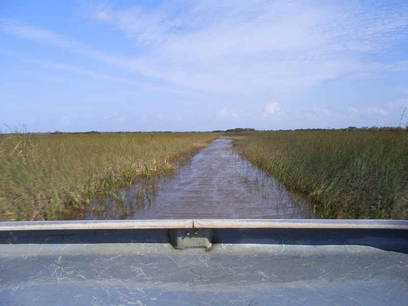 Everglades