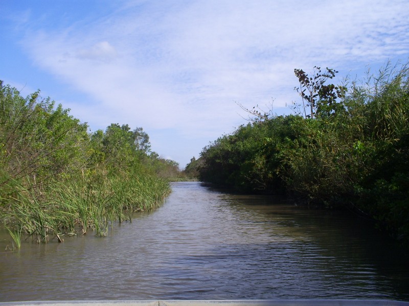 Everglades