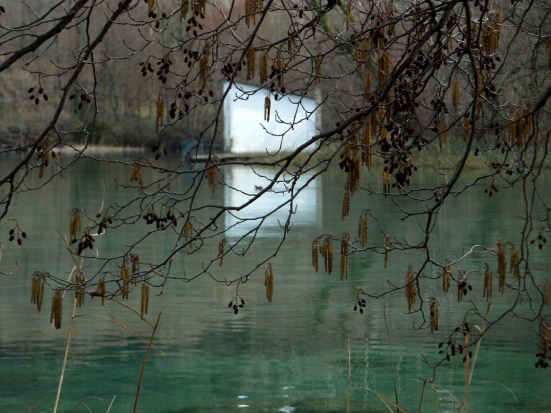 reflejos de hinvierno