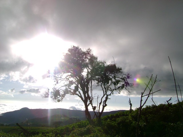 Atardecer Poropororino 