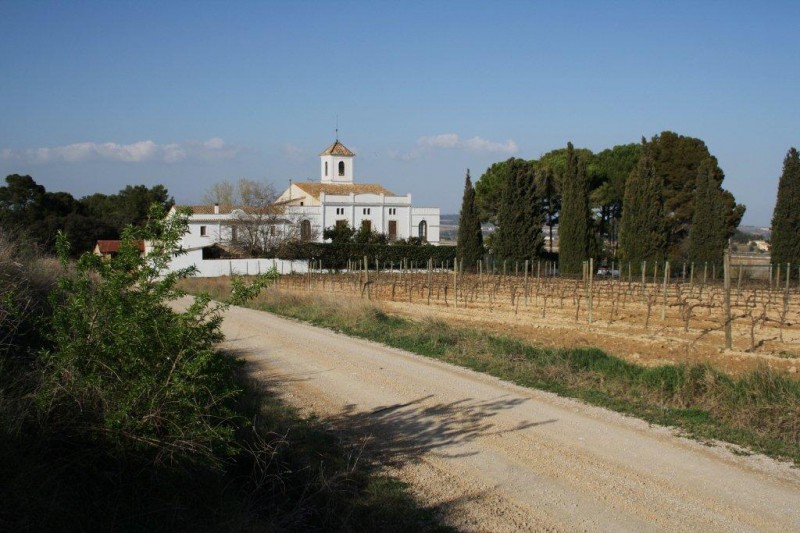 MAS ROMAN, FONT-RUB. EL PENEDES SOBIR