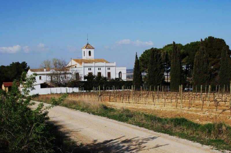 MAS ROMAN, FONT-RUB. EL PENEDES SOBIR