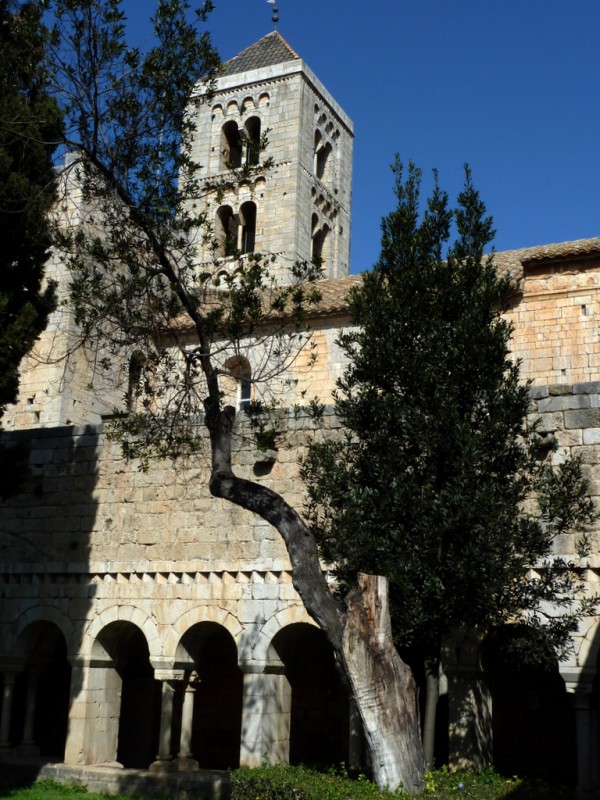 patio del claustro