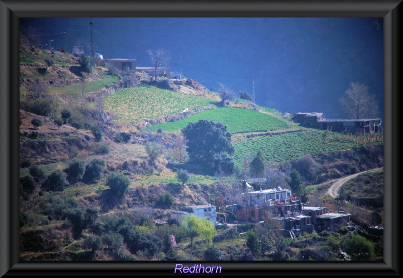 Bancales de las Alpujarras
