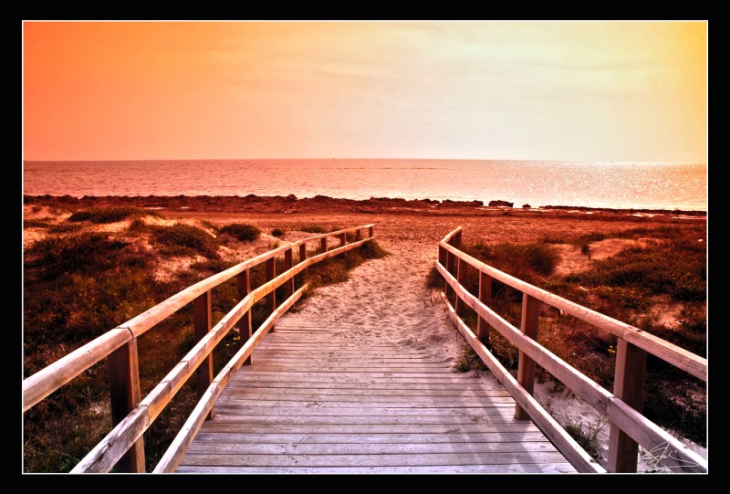 Puente frente al mar