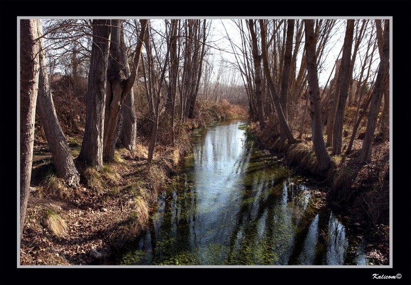 A orillas del ro Dulce