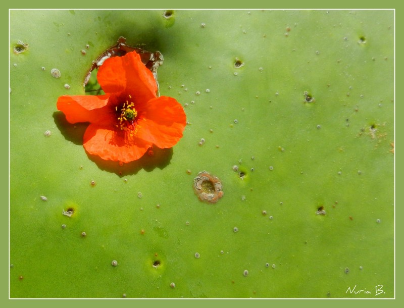 Pensando en rojo