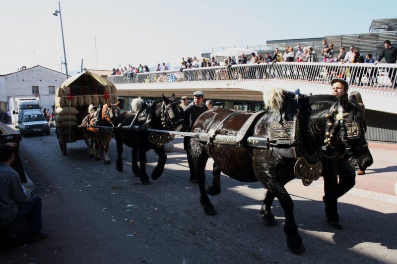 SANT ANTONI, QUINA PASSADA !!! . CASTELLAR DEL VALLS. CATALUNYA