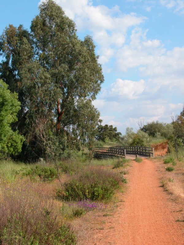 CAMINO DE ALANGE