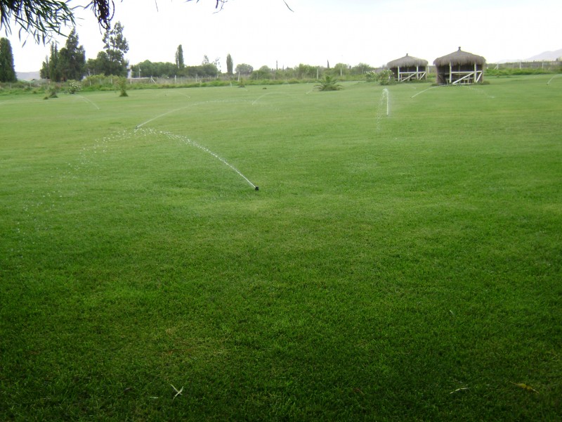 Preparando la cancha