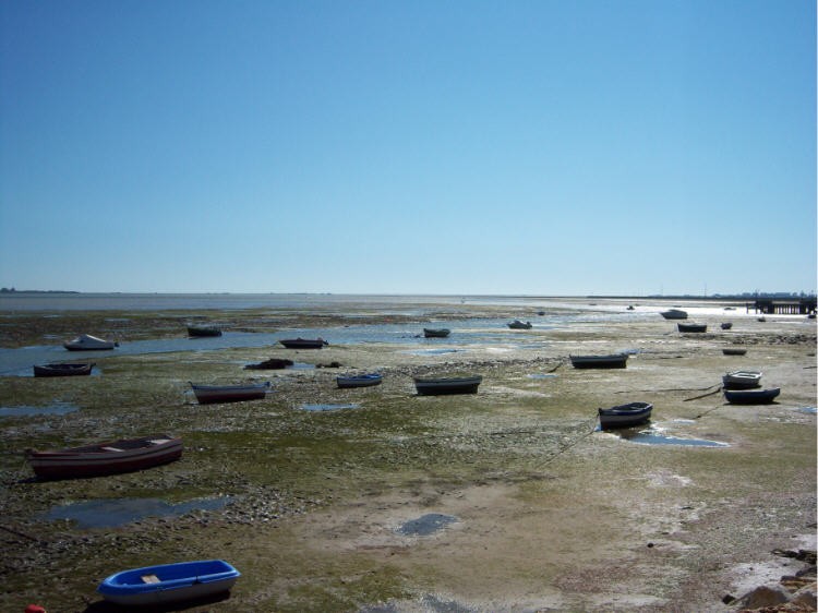 Bajamar