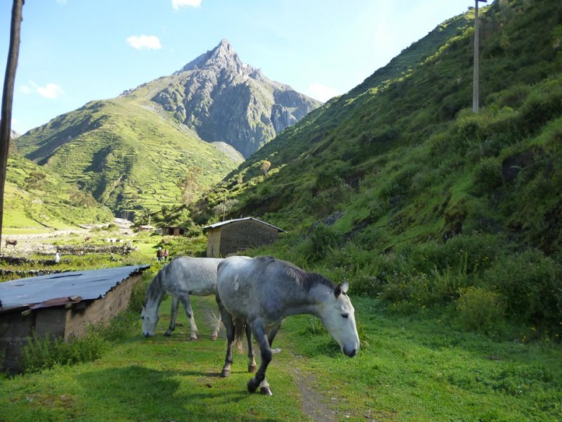 PAISAJE DE LA SIERRA DE HUARAL