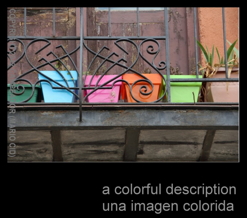 a colorful description - una imagen colorida. Fotografa: Campeador.