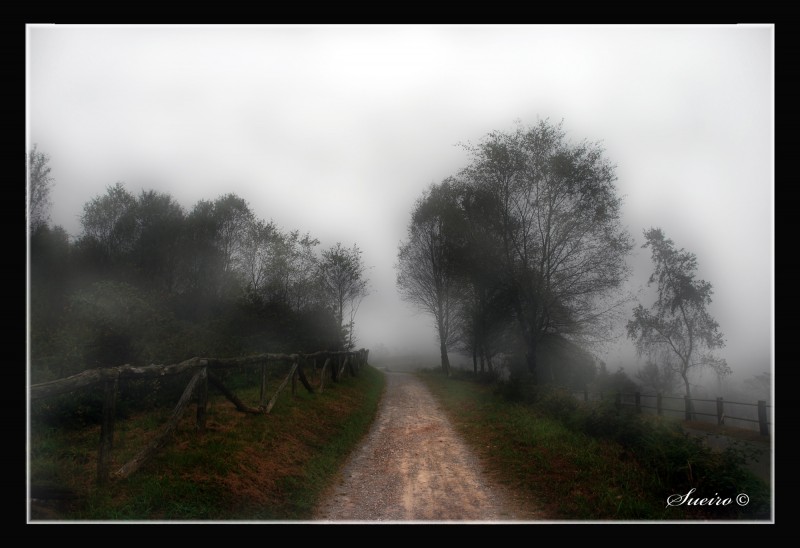 entre la niebla