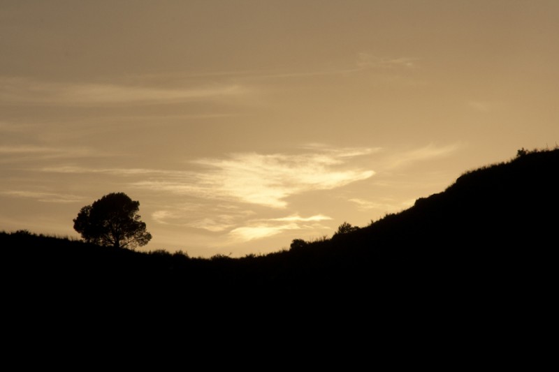CUANDO CAE EL SOL