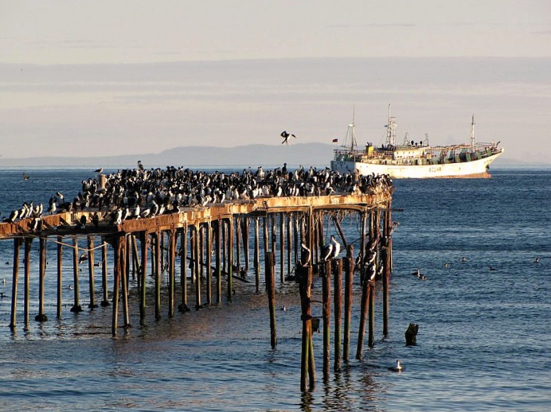 Muelle viejo la realidad