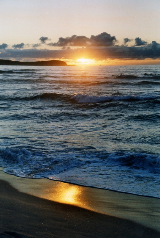 Playa de Oro