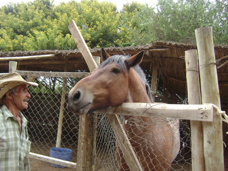 Discutiendo por la comida