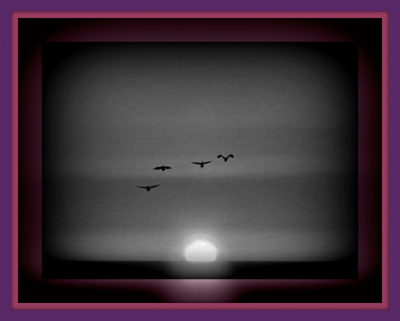 vuelo al atardecer