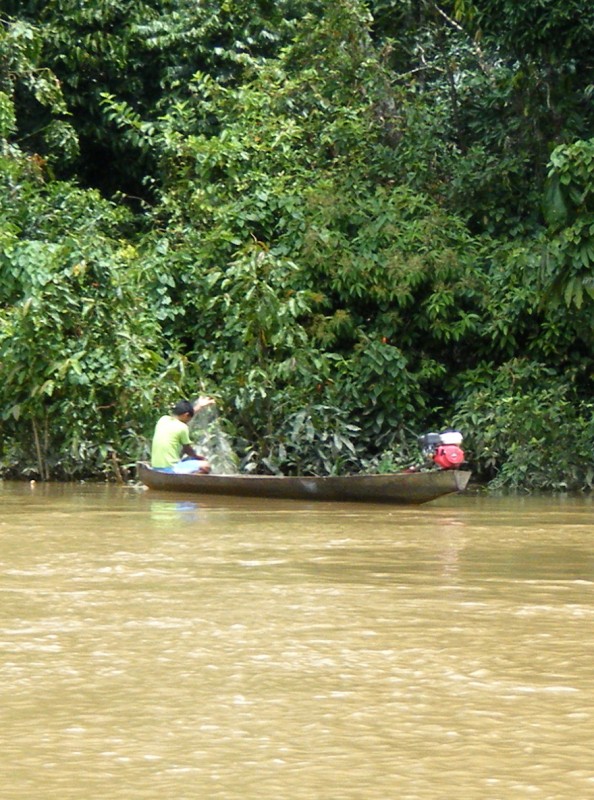 Pescando