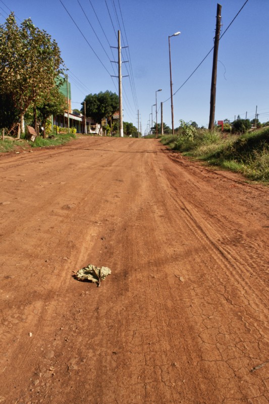 Camino a casa