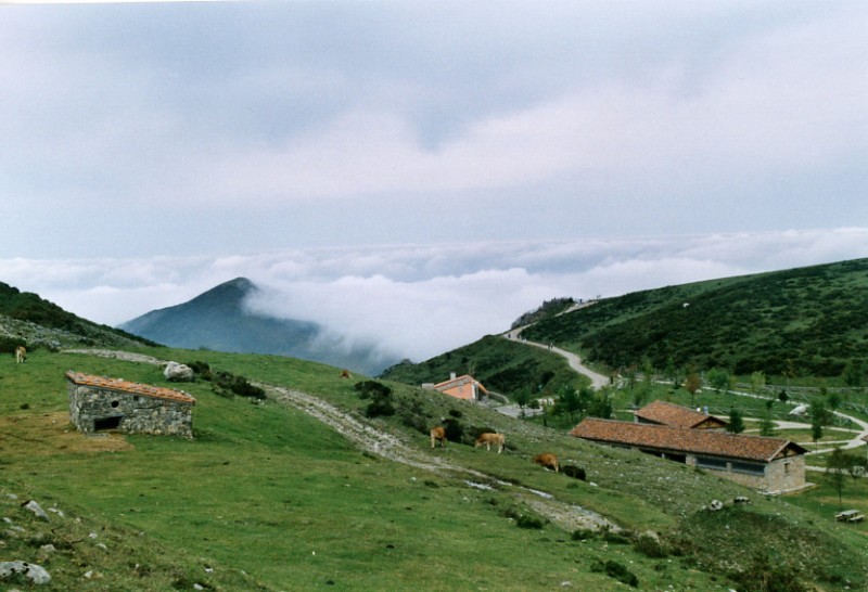 Picos de Europa