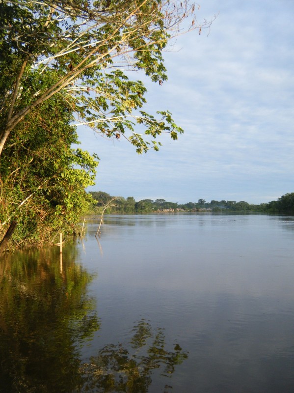 En la maana 