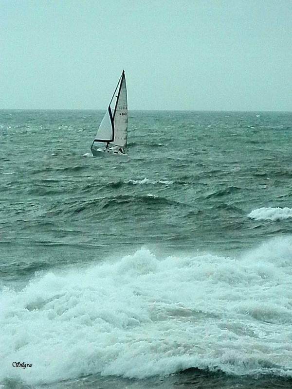 el viento y la marea