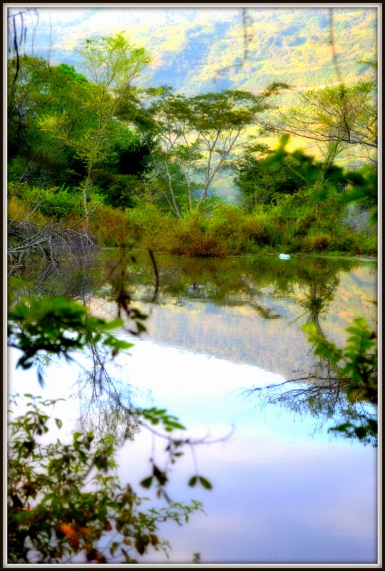 Reflejos 