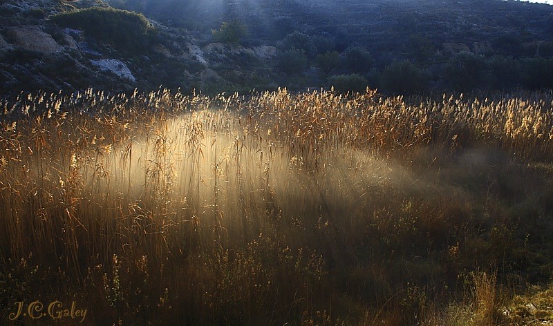 las primeras luces del da