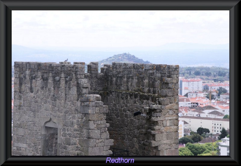 Torren del castillo de Castelo Branco, con Paloma