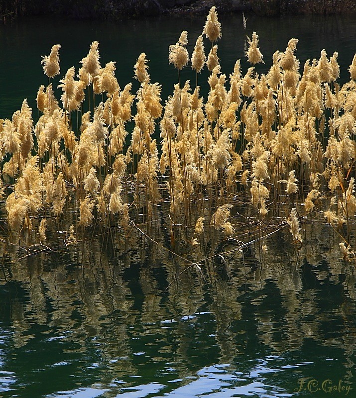 luz natural y agua