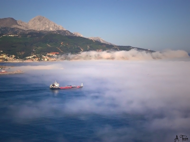 Cuando la niebla abraza