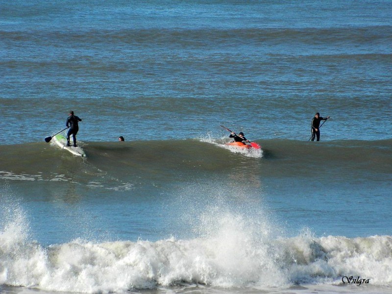 Jugando con olas