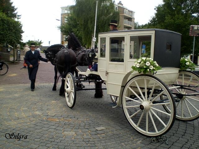 El carruaje de la boda