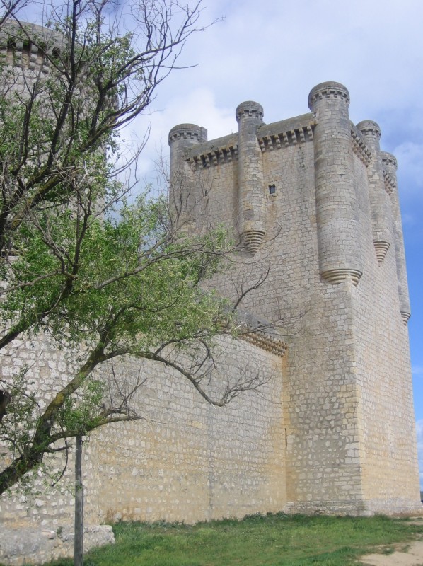 Castillo de Torrelobatn