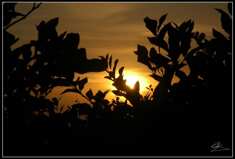Atardecer  y contralz