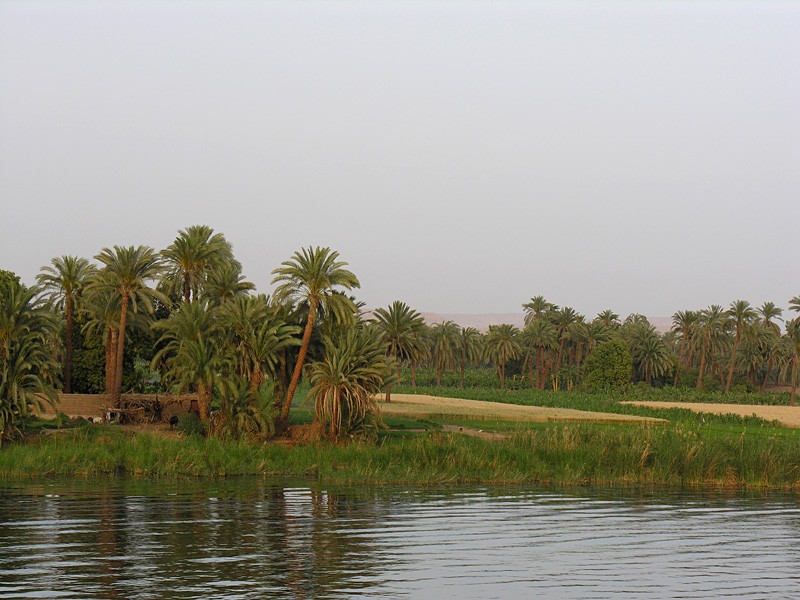Orillas del Nilo