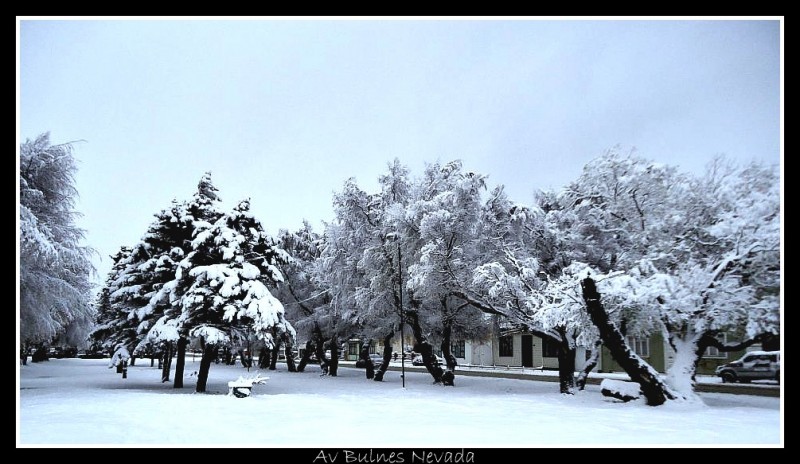 Av Bulnes Nevada