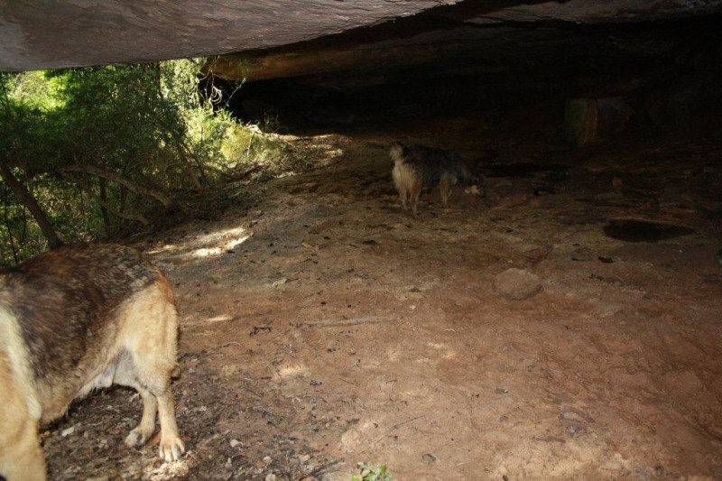 BALMA DE LES ESPLUGUES A GAI